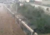 اضغط على الصورة لرؤيتها بالحجم الطبيعي