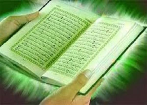 ط§ط¶ط؛ط· ط¹ظ„ظ‰ ط§ظ„طµظˆط±ط© ظ„ط±ط¤ظٹطھظ‡ط§ ط¨ط§ظ„طط¬ظ… ط§ظ„ط·ط¨ظٹط¹ظٹ