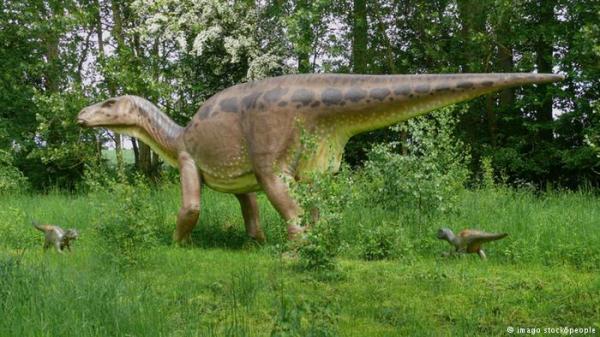 لأول مرة.. اكتشاف جسد ديناصور متكامل في حفرية بكندا