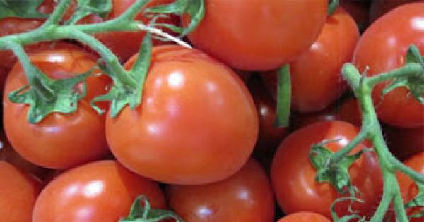 أهمية الطماطم لجفاف البشرة والتخلص من مشكلة الناموس