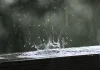 اضغط على الصورة لرؤيتها بالحجم الطبيعي