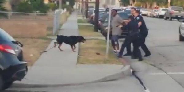 فيديو مؤثر ... الشرطة الأمريكية تقتل كلبا حول الدفاع عن صاحبه .