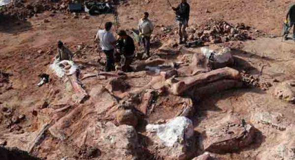 اكتشاف عظام أقدام الديناصورات بهذه المنطقة المغربية