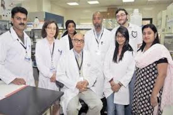 باحثون من جامعة الإمارات يعالجون السرطان بالعسل