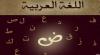 اضغط على الصورة لرؤيتها بالحجم الطبيعي