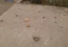 اضغط على الصورة لرؤيتها بالحجم الطبيعي