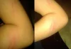 اضغط على الصورة لرؤيتها بالحجم الطبيعي