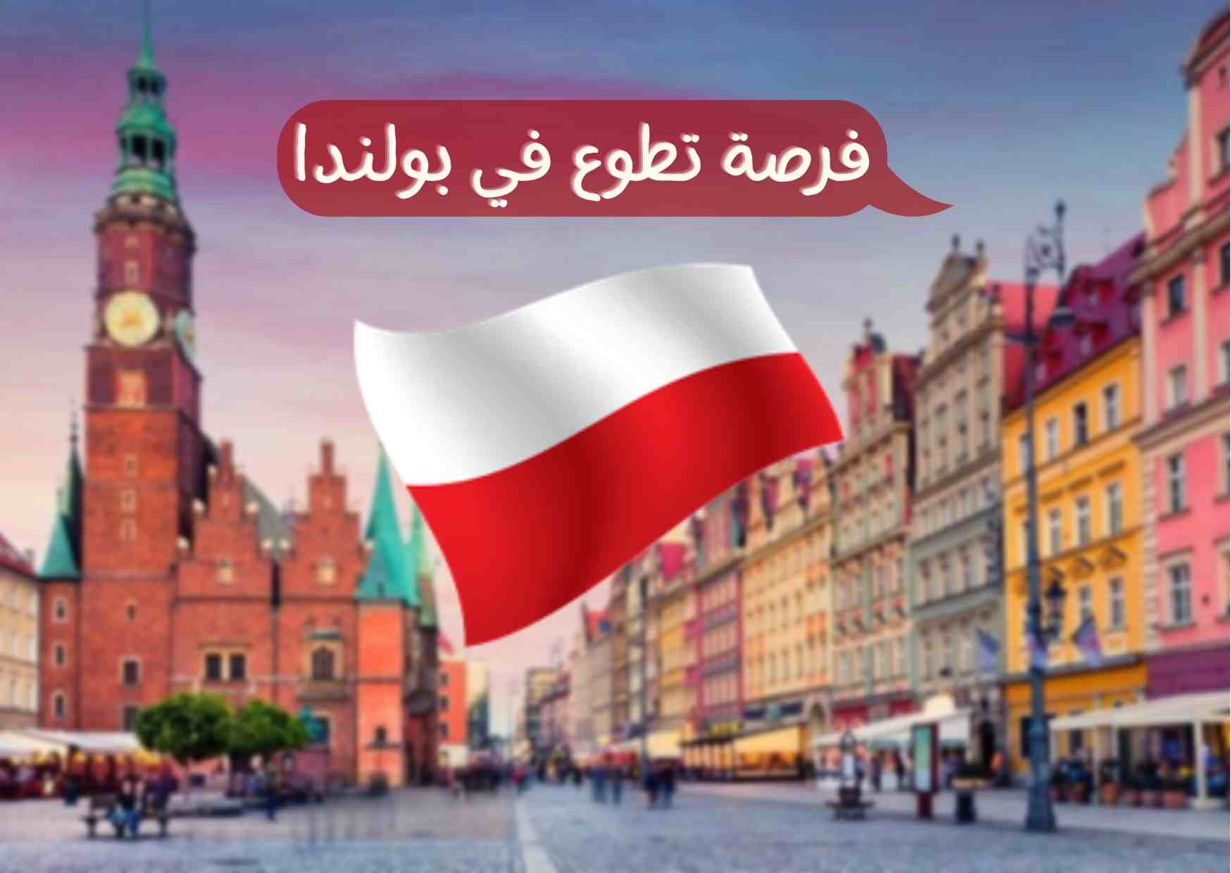 هام للمغاربة: بولندا تُغري شباب العرب بتجربة تطوعية ممولة بالكامل وسط أوروبا! 4 %D9%81%D8%B1%D8%B5%D8%A9 %D8%AA%D8%B7%D9%88%D8%B9 %D9%81%D9%8A %D8%A8%D9%88%D9%84%D9%86%D8%AF%D8%A7 1 1750254163