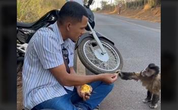 2025 638772888185783912 578 1741827479