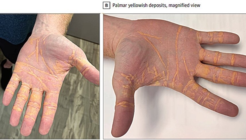 202512818365768J4 1738102248