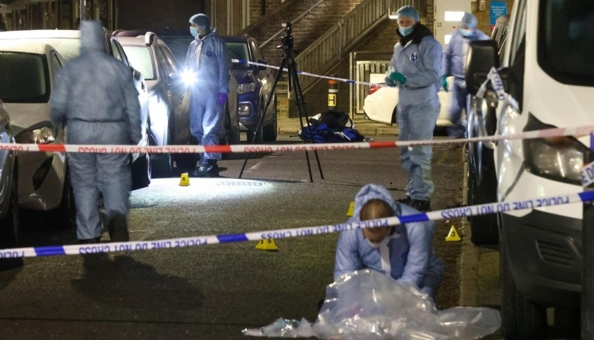 2025317151022185Z0 1742226588