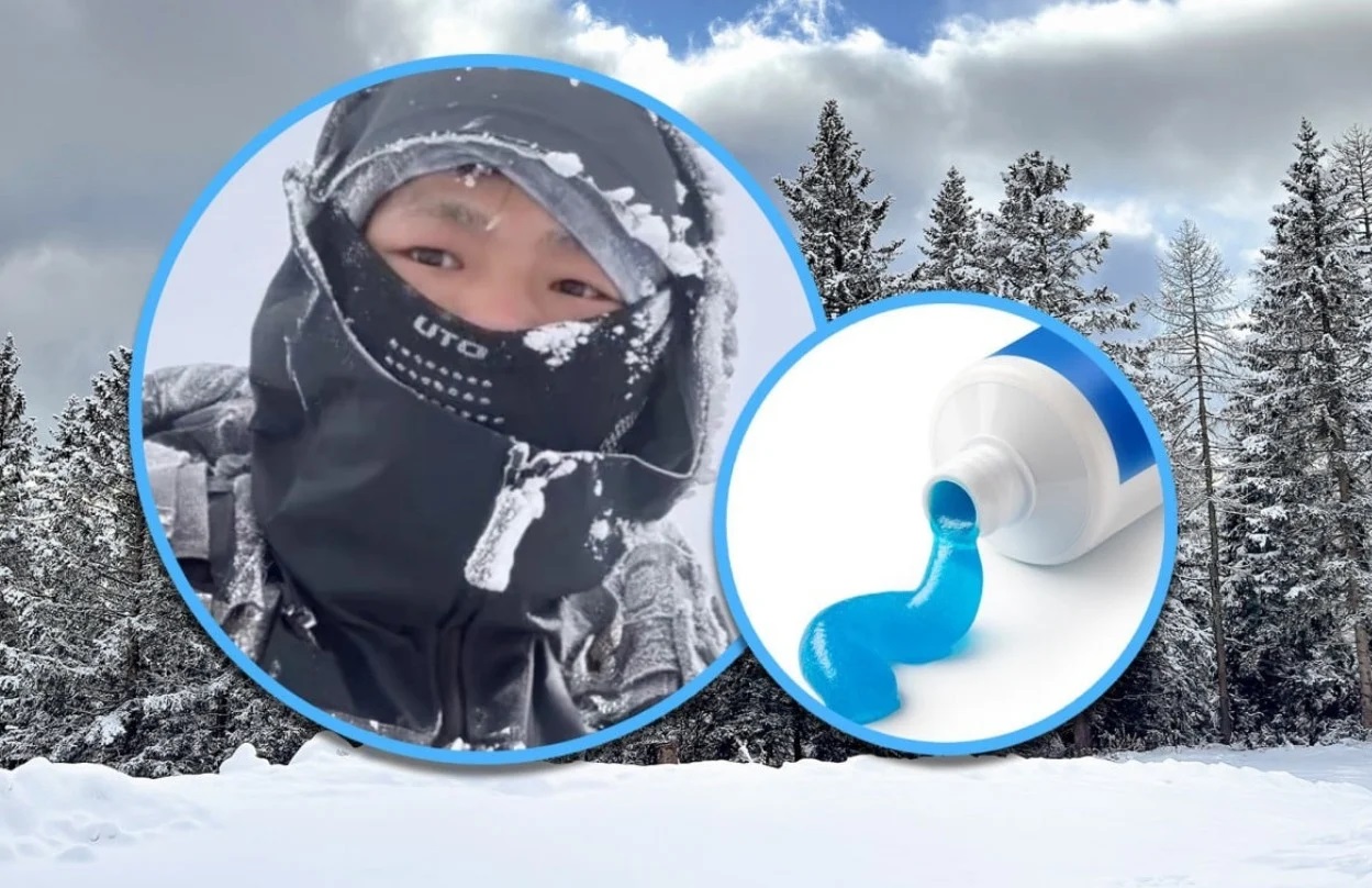 245885 %D9%85%D8%B9%D8%AC%D9%88%D9%86 %D8%A7%D8%B3%D9%86%D8%A7%D9%86 %D9%8A%D9%86%D9%82%D8%B0 %D9%85%D8%AA%D8%B3%D9%84%D9%82 %D9%85%D9%86 %D8%A7%D9%84%D9%85%D9%88%D8%AA 1741962099