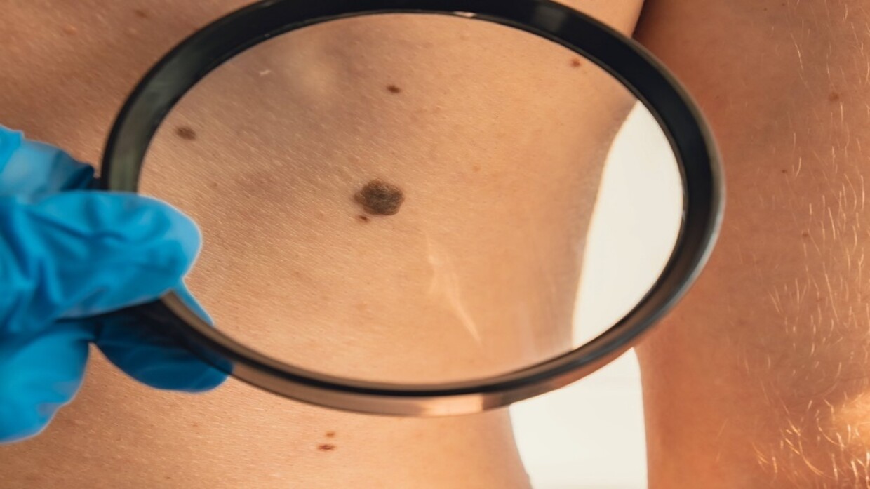 679c9ec84236040dcc242b71 1738450464