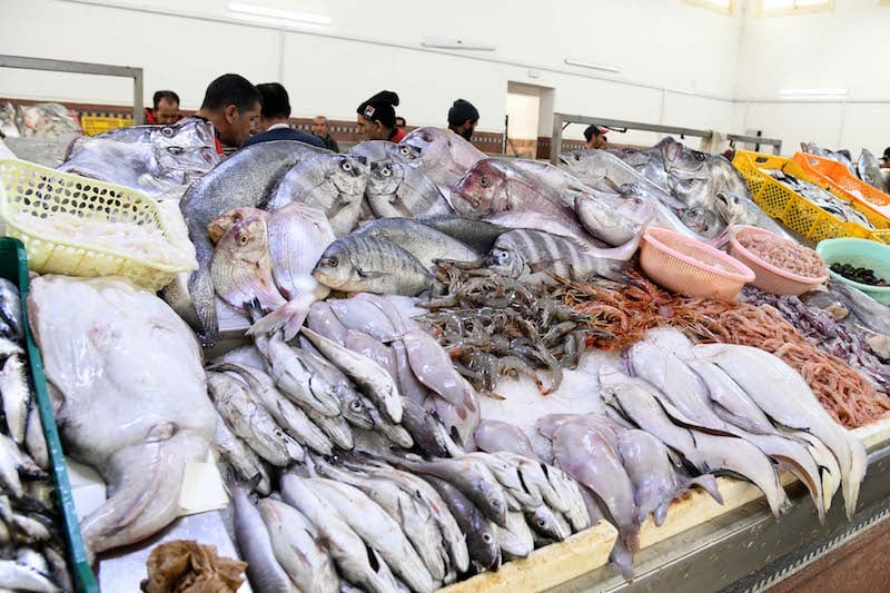 الحكومة تطلق مبادرة "الحوت بثمن معقول" لتوفير الأسماك بأسعار مناسبة قبل رمضان 4 poisson 2 1739130077