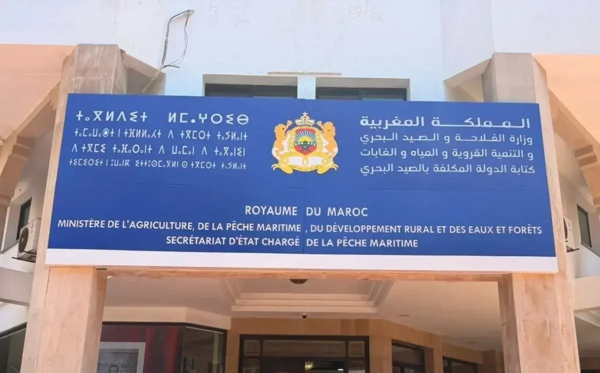 كتابة الصيد البحري تنفي تسخير موارد الأخطبوط لأغراض انتخابية وتوضح أسباب تقديم موعد الراحة البيولوجية
