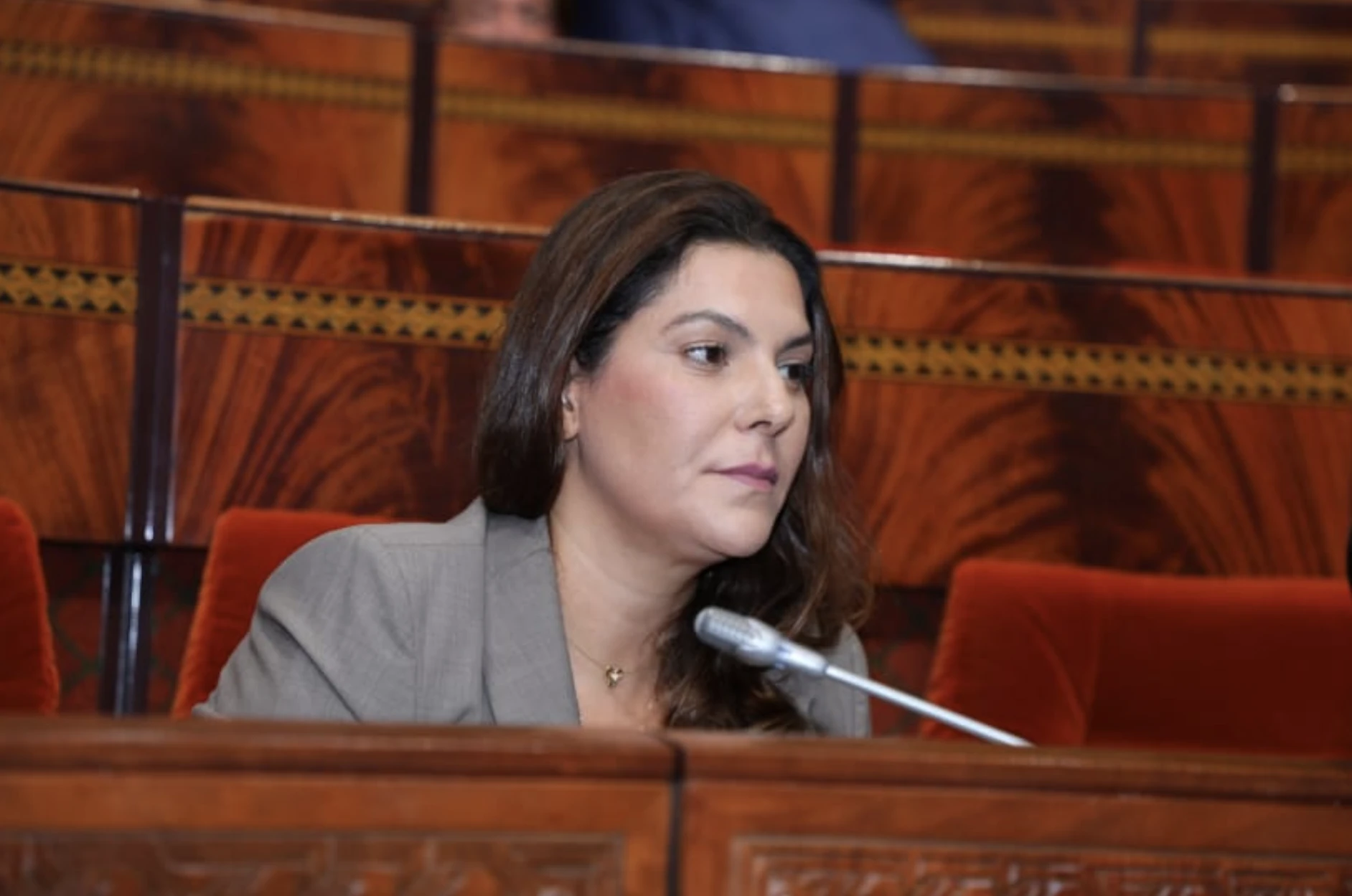 المنصوري: لن أتحالف مع “الأحرار” إذا تصدروا الانتخابات المقبلة المنصوري: لن أتحالف مع “الأحرار” إذا تصدروا الانتخابات المقبلة