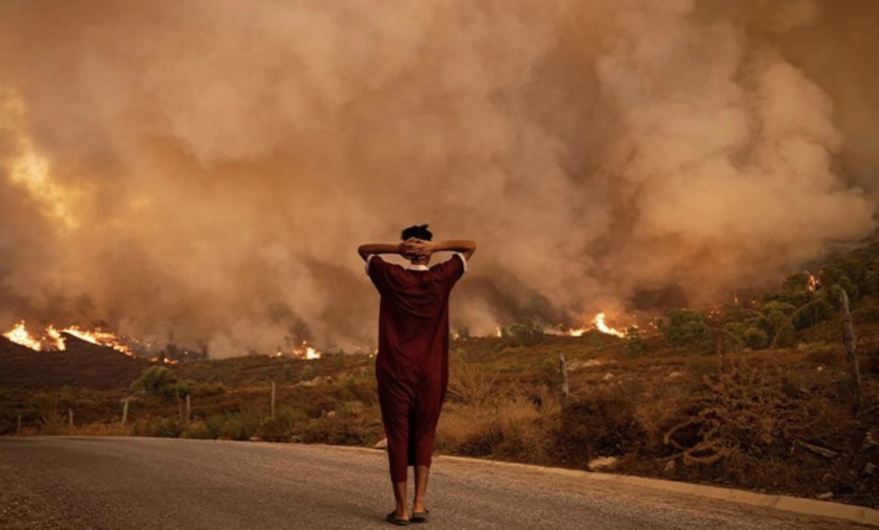 قلوب المغاربة مع إخوتهم الجزائريين وتأسُّف على عدم فتح الباب أمام "الكنادير" المغربية للمساندة في إطفاء الحرائق