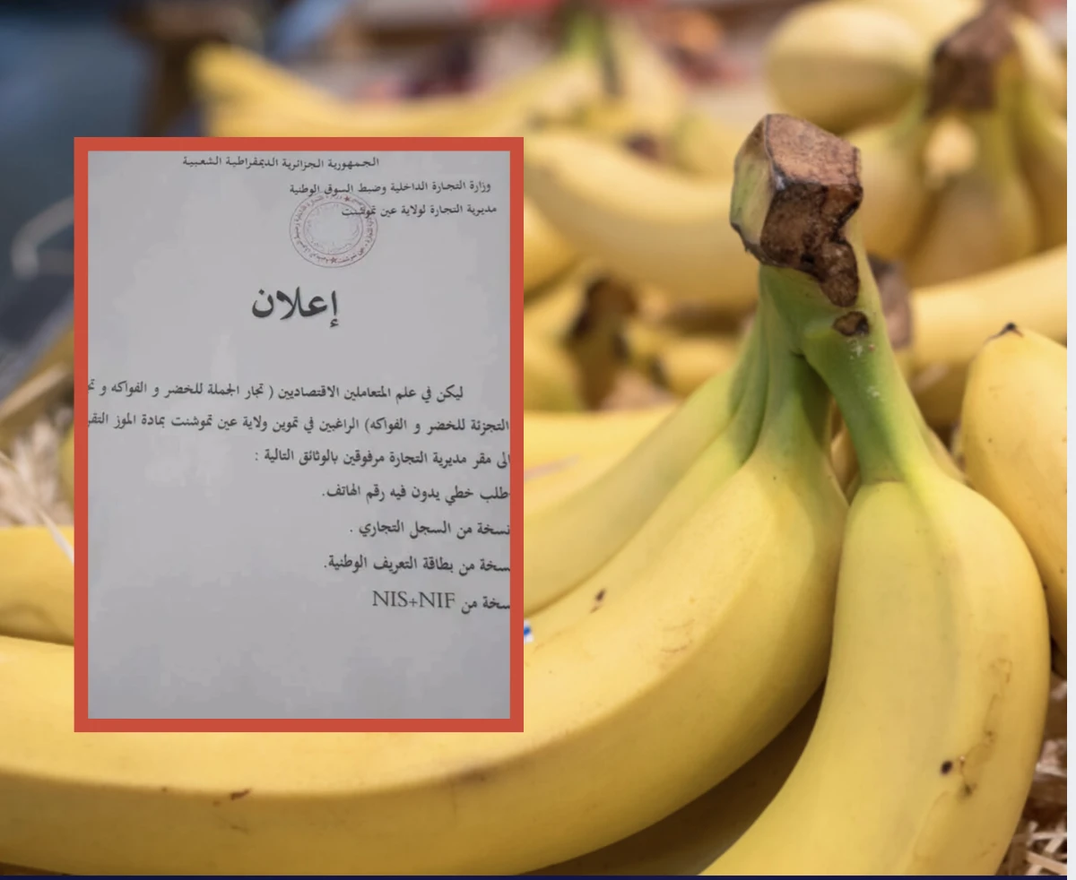 مهزلة في الجزائر.. التجارة في "الموز" بطلب خطي وبطاقة تعريف بعد قفزة صاروخية للأسعار