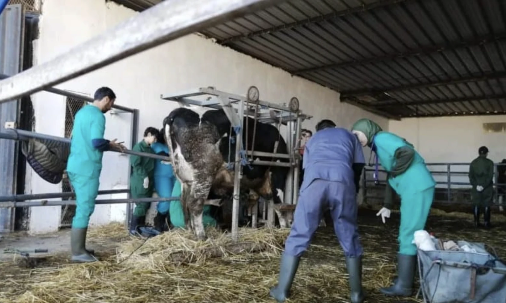ملف تسوية وضعية 28 طبيبا بيطريا أستاذا باحثا عالق رغم استكمال مساطره القانونية