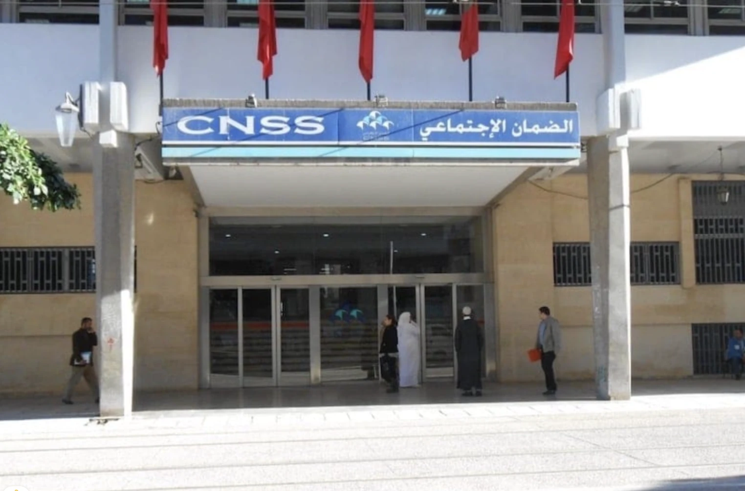 هذه حقيقة تمرير مصحة "CNSS" بالمحمدية لصفقة القضاء على الفئران والحشرات بمبلغ 86 مليون سنتيم