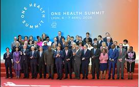 onehealtj 1775576647