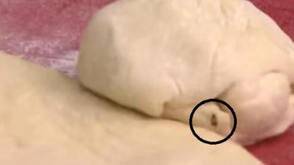 فضيحة مصورة.. صرصور في برنامج للطبخ