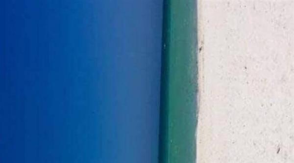 باب أم شاطئ؟ ..صورة تحير مستخدمي الإنترنت