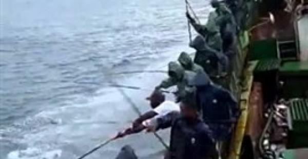 بالفيديو.. السمك الطائر