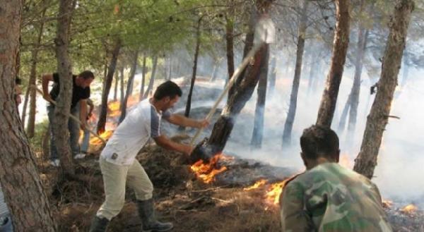 الحرائق تلتهم غابة امسفران إبلان بأزيلال والساكنة تستنجد