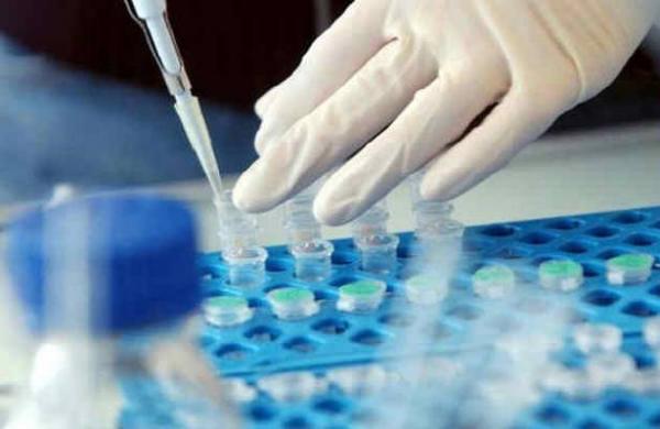 التكنولوجيا الحيوية تعد حلا إيكولوجيا منخفض التكلفة للتقليص من إشكالية معالجة المياه بإفريقيا