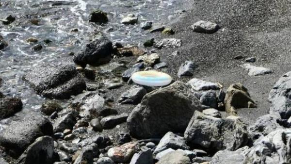 الإعلام الإسباني يتداول تفاصيل المغامرة الجنونية التي أقدم عليها شاب مغربي للوصول إلى سبتة المحتلة