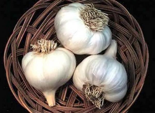 الثوم واللحوم الحمراء.. أطعمة تقضي على بياض الأسنان