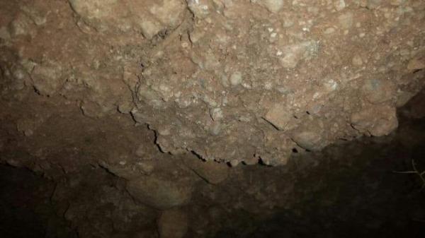 بالصور: اكتشاف بقايا ديناصور نادر بتزنيت