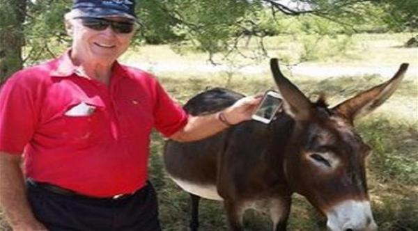 نجاة "آي فون 6" بعد سقوطه من طائرة