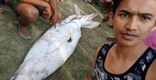 صياد يمسك بحبار ضخم للغاية (فيديو وصور)