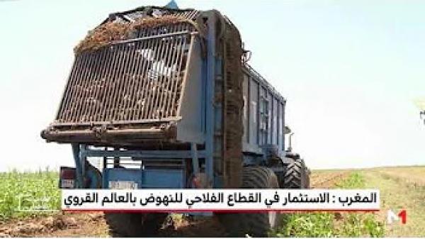 المغرب: استراتيجية فلاحية للنهوض بالعالم القروي