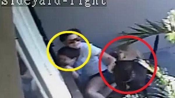 بالفيديو: أم تحمي طفلها من هجوم كلبين متوحشين