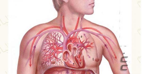 تسبب الصيام فى ضعف الجسم وفقدان نضارته.. شائعة خاطئة