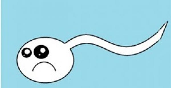 بالفيديو..8 أطعمة تساعد على زيادة خصوبة الرجل