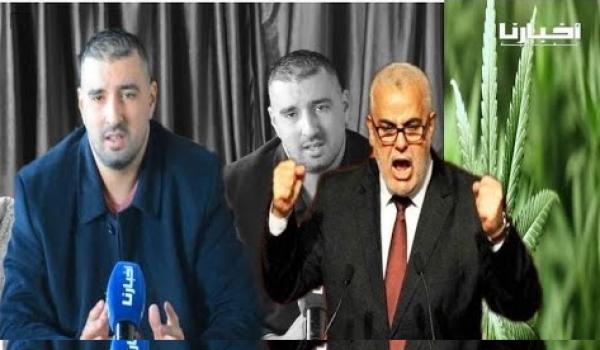 المعتصم أمغوز عن "تقنين العشبة": بنكيران كيدوخ على المغاربة والكيف ضروري لتحريك الاقتصاد