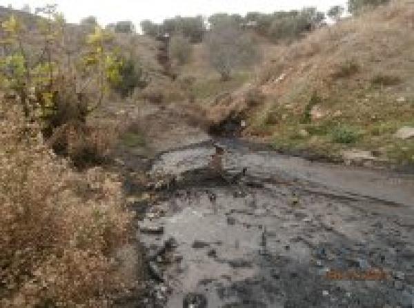 تاونات: اغلاق7معاصر لعدم احترامها لدفتر التحملات ومتابعة اثنين من مالكي المعاصر قضائيا لرفضهم تنفيذ قرار الاغلاق