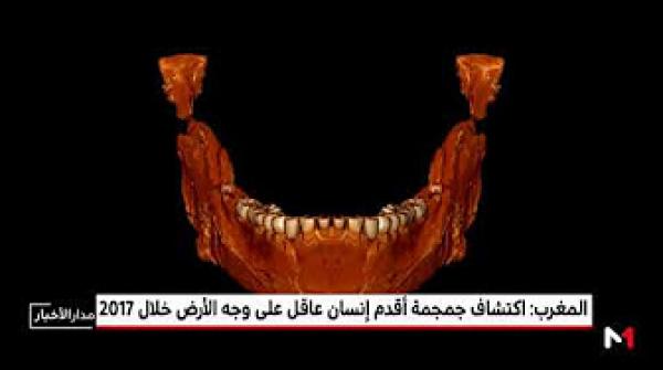سنة 2017 شهدت اكتشاف جمجمة أقدم إنسان عاقل على وجه الأرض بالمغرب