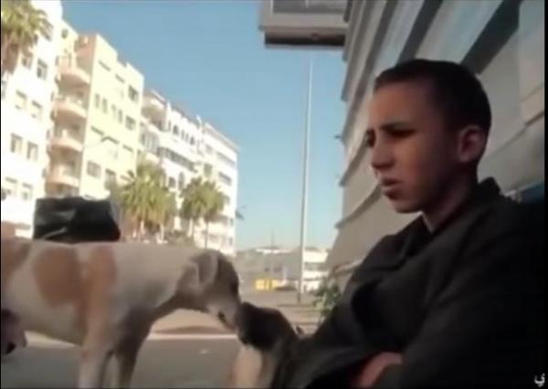 مؤلم : طفل يعيش متشردا رفقة الكلاب بعد خروجه من السجن !!