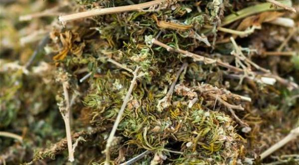 إحراق الشرطة للمخدرات يتسبب في نشوة لسكان إندونيسيا