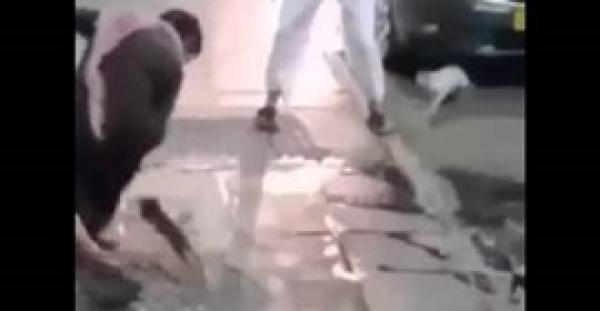 بالفيديو.. شاهد ماذا فعلت قطة مع شابين حاولا اختطاف طفلتها