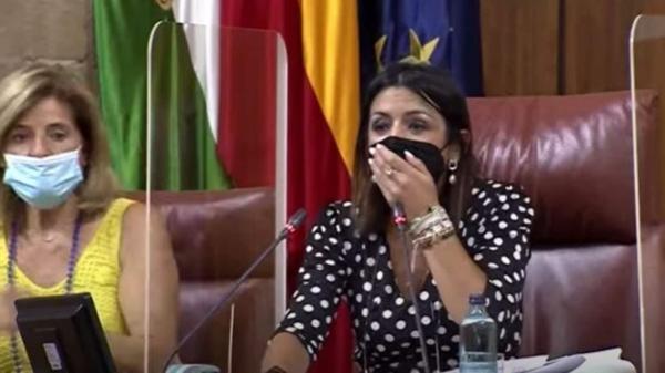 فأر يدخل برلمان إقليم الأندلس في إسبانيا يتسبب في حالة فزع وفوضى بين النواب