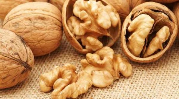 البيت الذي يدخله الجوز.. لا يدخله طبيب