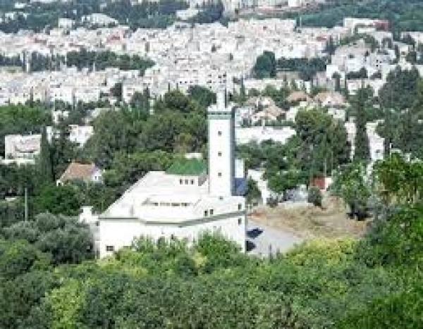 إقليم صفرو: حرص ملكي موصول من أجل النهوض بفلاحة عصرية ذات قيمة مضافة عالية