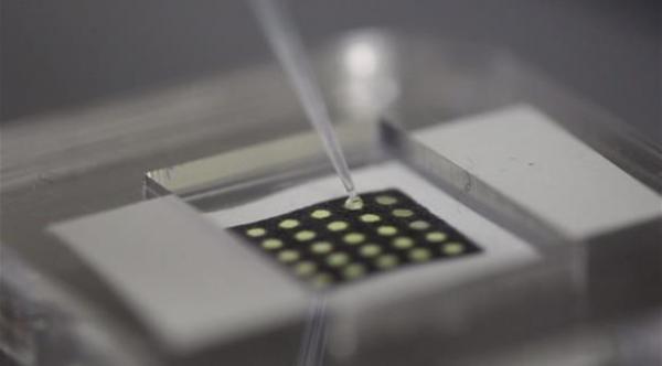 اختبار شبيه بفحص الحمل يكشف إيبولا بأقل من ساعة