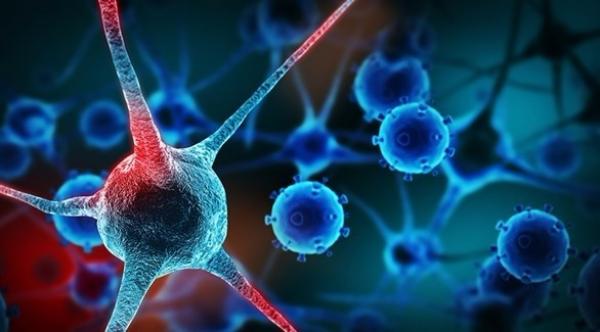 دراسة: ثلثا أنواع السرطان نتيجة أخطاء جينية عشوائية